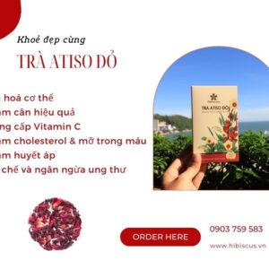 Trà Hibiscus